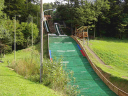 Skispringen